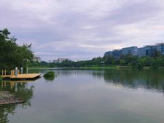 -华侨城湿地公园