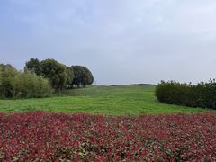 -苏州湾体育公园