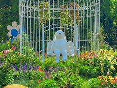 -上海共青森林公园