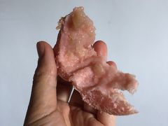 -好利来(东四店)