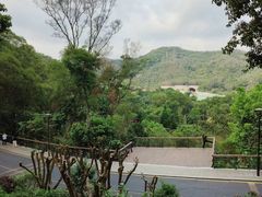 -深圳仙湖植物园