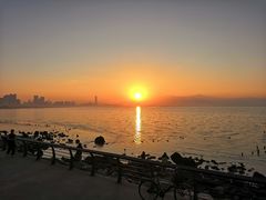 -深圳湾公园(南山区)