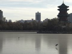-迎泽公园