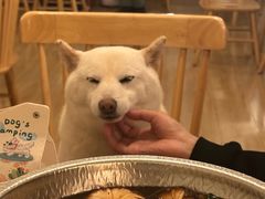 -柴の食堂·日式家庭料理·熊之肆(大学路店)