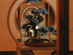 -腾冲和顺柏联酒店