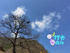 -秦岭风景区