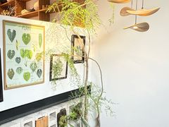 -自由生长植物工作室(深港花卉中心店)