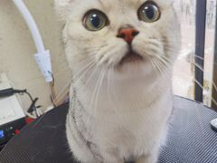 -宠物家(角门东店)
