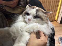 -白兔子密室(长寿路店)
