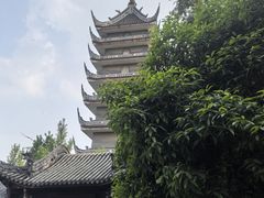 -生宇山珍野生菌汤锅•始于1999(双流古塔店)