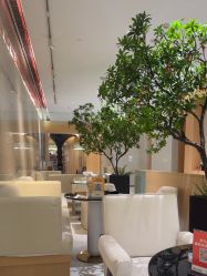 -半岛故事·法儿曼抗衰·indiba中心
