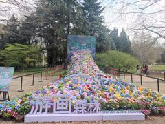 -上海共青森林公园