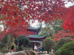 -岳麓山风景名胜区