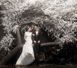 点击看大图 -艺匠摄影ARTIZ STUDIO(南京店)