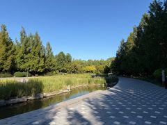 -大望京公园