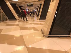 -盖达尔·阿利耶夫国际机场