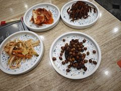 -喜来苑
