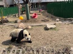 -沈阳森林动物园