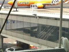 -奥利弗·雷金纳德·坦博国际机场