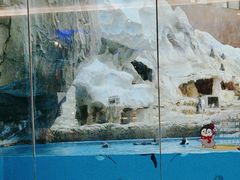 -帝企鹅自助餐厅•儿童岛•真企鹅(长隆企鹅酒店)