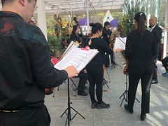 -上海鲜花港