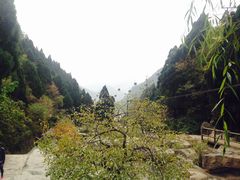 -狼牙山风景区