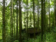 -凤栖山