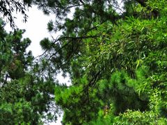 -藏龙百瀑风景区