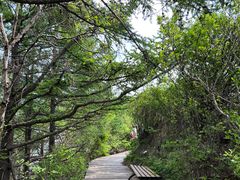 -白草畔自然风景区