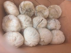 -舒小笼松针小笼包