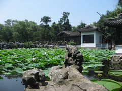 -无锡蠡湖国家湿地公园-蠡园