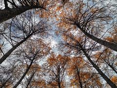 -硗碛藏寨·神木垒景区