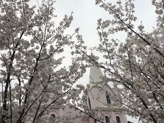 -团城山公园