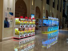 -纵横国际影城杜比全景声巨幕(天安云谷店)