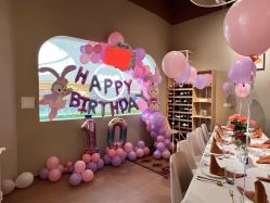 -派对猴生日派对策划