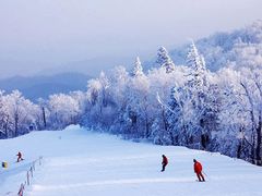 -亚布力新体委滑雪场