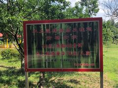 -渌洋湖湿地公园