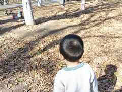 -布鲁豪斯亲子欢乐家庭餐厅