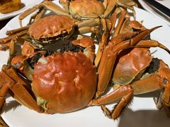 -禾斗海鲜自助(城阳宝龙店)