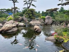 -罗红摄影艺术馆