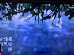 -唱吧麦颂KTV(方庄店)