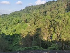 -火炉山森林公园