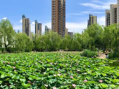 -南翠屏公园