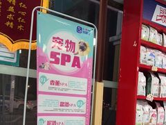 -宠颐生猫科·内科皮肤科(西平世纪城店)