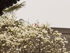 -西安市广仁寺