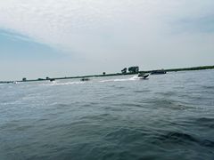 -白洋淀风景区