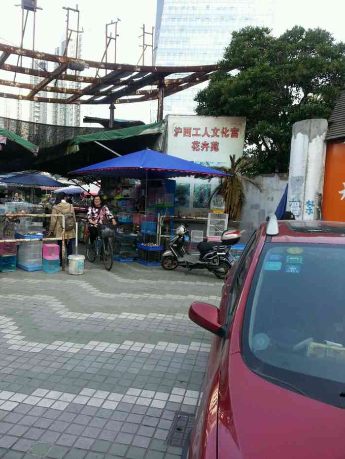 上海西宫花鸟市场西宫花鸟市场又开业上海市花鸟市场西宫花鸟市场球蟒
