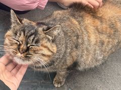 -终南山南五台景区