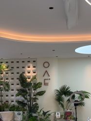 -OAE日式皮肤管理お肌の