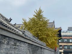 -长安寺